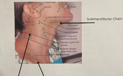 Understanding the Lymphatic Drainage System of the Face and Neck